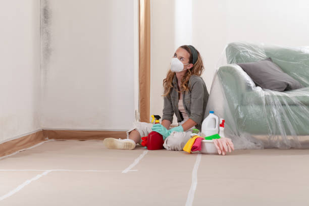 Reliable Mold Remediation contractor in Colleyville, TX by WQB Mold Removal
